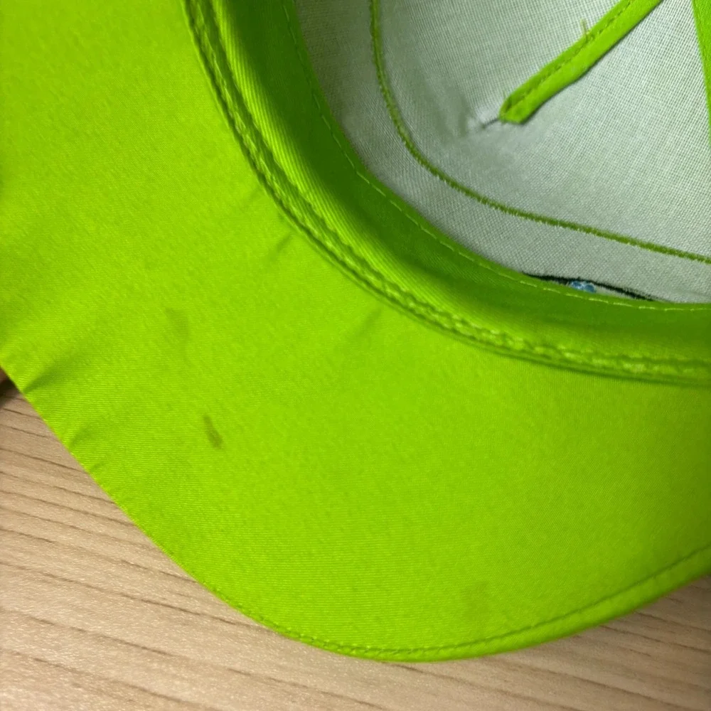 Teenage Muntant Ninja Turtles Hat Cap Snap Back Green Adjustable